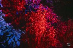 Freeparty by Ytolan Tribe - Beroun, 4.7.2025