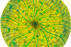 Koloběh / kresba formátu A4 / tužkou