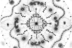 Plevel / mandala formátu A4 / tužkou