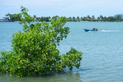 Trat - Týden po Thajsku (listopad 2023)