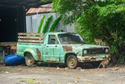 Ko Čang - Týden po Thajsku (listopad 2023)