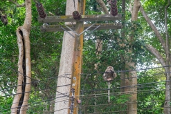 Ko Čang - Týden po Thajsku (listopad 2023)