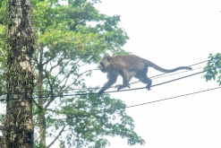 Ko Čang - Týden po Thajsku (listopad 2023)