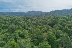 Ko Čang - Týden po Thajsku (listopad 2023)