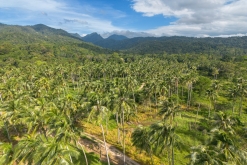 Ko Čang - Týden po Thajsku (listopad 2023)