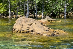 Ko Čang - Týden po Thajsku (listopad 2023)