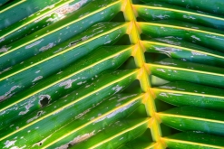 Ko Čang - Týden po Thajsku (listopad 2023)