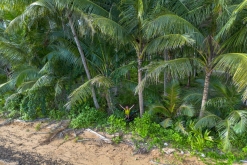 Ko Čang - Týden po Thajsku (listopad 2023)