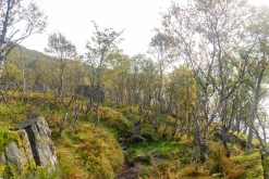 Fredvang - Kvalvika - Kjerkfjorden- Týden po Norsku (září 2023)