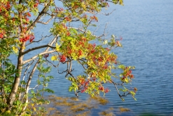 Fredvang - Kvalvika - Kjerkfjorden- Týden po Norsku (září 2023)