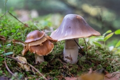 Fredvang - Kvalvika - Kjerkfjorden- Týden po Norsku (září 2023)