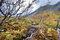Fredvang - Kvalvika - Kjerkfjorden- Týden po Norsku (září 2023)