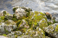 Fredvang - Kvalvika - Kjerkfjorden- Týden po Norsku (září 2023)