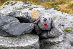 Fredvang - Kvalvika - Kjerkfjorden- Týden po Norsku (září 2023)
