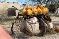 Dar es Salaam - Týden po Tanzánii (květen 2024)