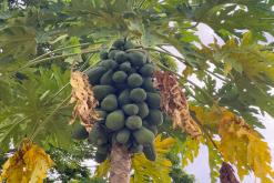 Zanzibar - Týden po Tanzánii (květen 2024)