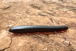 Zanzibar - Týden po Tanzánii (květen 2024)