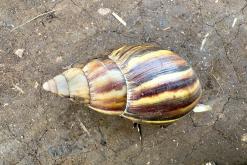 Zanzibar - Týden po Tanzánii (květen 2024)