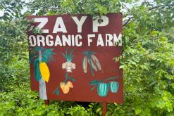 Zanzibar - Týden po Tanzánii (květen 2024)