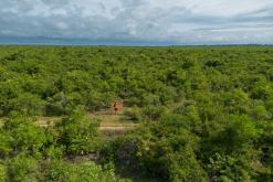 Zanzibar - Týden po Tanzánii (květen 2024)