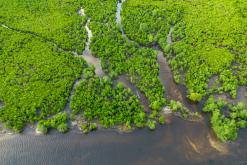 Zanzibar - Týden po Tanzánii (květen 2024)