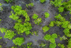 Zanzibar - Týden po Tanzánii (květen 2024)