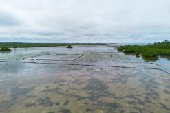 Zanzibar - Týden po Tanzánii (květen 2024)