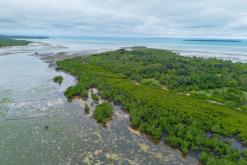 Zanzibar - Týden po Tanzánii (květen 2024)