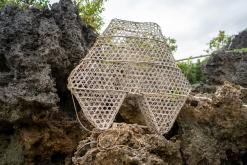 Zanzibar - Týden po Tanzánii (květen 2024)