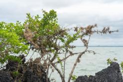 Zanzibar - Týden po Tanzánii (květen 2024)