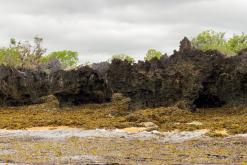 Zanzibar - Týden po Tanzánii (květen 2024)