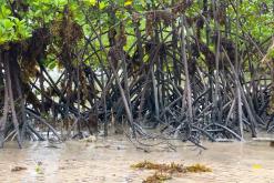 Zanzibar - Týden po Tanzánii (květen 2024)