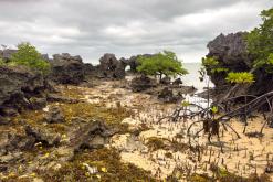 Zanzibar - Týden po Tanzánii (květen 2024)