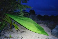 Zanzibar - Týden po Tanzánii (květen 2024)