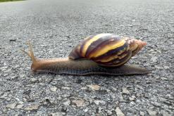 Zanzibar - Týden po Tanzánii (květen 2024)