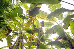 Zanzibar - Týden po Tanzánii (květen 2024)