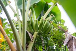 Zanzibar - Týden po Tanzánii (květen 2024)