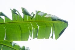 Zanzibar - Týden po Tanzánii (květen 2024)