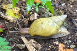 Zanzibar - Týden po Tanzánii (květen 2024)