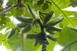 Zanzibar - Týden po Tanzánii (květen 2024)