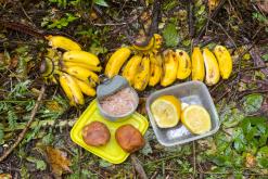 Zanzibar - Týden po Tanzánii (květen 2024)