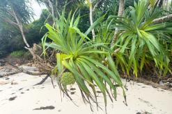 Zanzibar - Týden po Tanzánii (květen 2024)