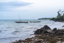Zanzibar - Týden po Tanzánii (květen 2024)