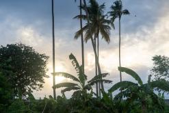 Zanzibar - Týden po Tanzánii (květen 2024)