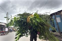 Dar es Salaam - Týden po Tanzánii (květen 2024)