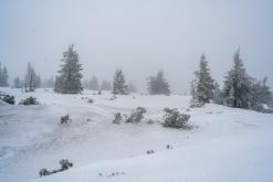 Krkonoše - prosinec 2023