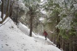 Krkonoše - prosinec 2023