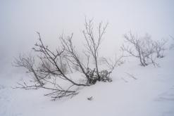 Krkonoše - prosinec 2023