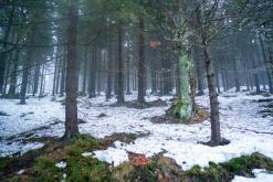 Krkonoše - prosinec 2023