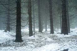 Krkonoše - prosinec 2023